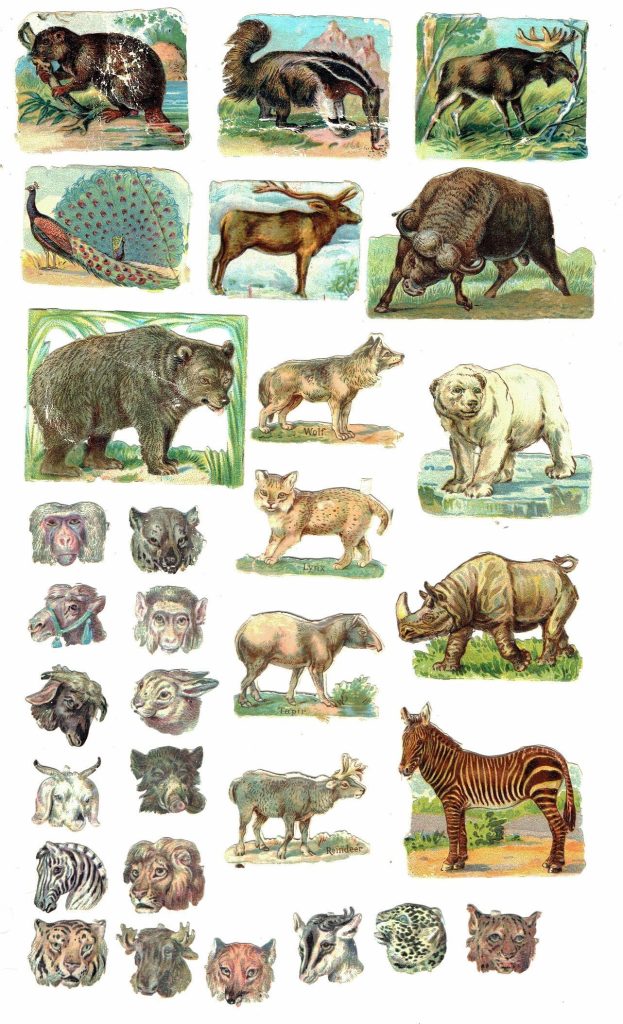 31 Various WILD ANIMALS Lithographic Die Cut Embossed Paper Scraps Antique