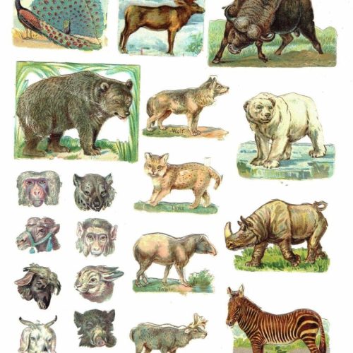 31 Various WILD ANIMALS Lithographic Die Cut Embossed Paper Scraps Antique - Image 1