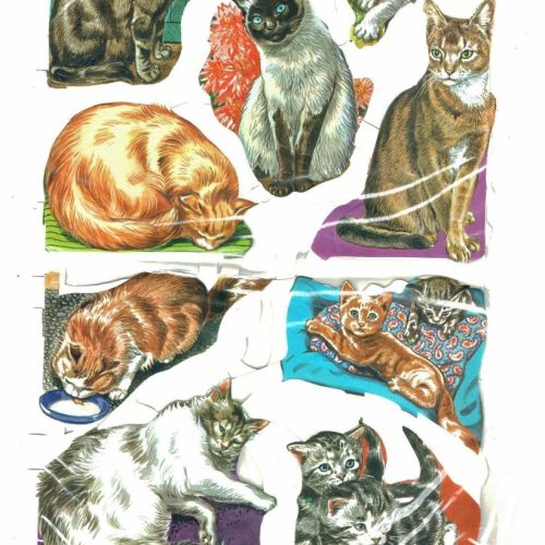 Unopened Packet Mamelok Press MLP Paper Picture Scraps Dog/1548 Cat/1540 1950-60 - Image 2
