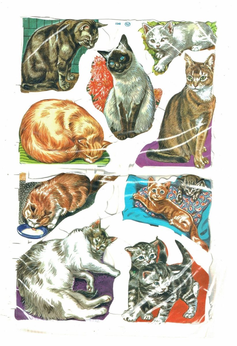 Unopened Packet Mamelok Press MLP Paper Picture Scraps Dog/1548 Cat/1540 1950-60 - Image 2