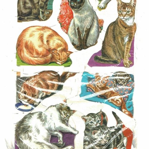 Unopened Packet Mamelok Press MLP Dog/1548 Cat/1540 Picture Scraps Vintage Gift - Image 2
