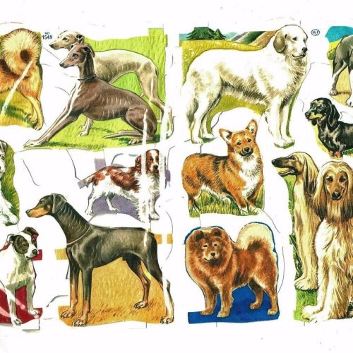 Scraps Unopened Packet Mamelok Press MLP Dog/1549 Cat/1540 1950's Vintage Gift - Image 1
