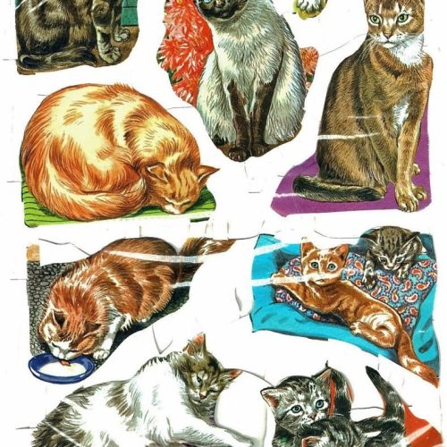 Scraps Unopened Packet Mamelok Press MLP Dog/1549 Cat/1540 1950's Vintage Gift - Image 2