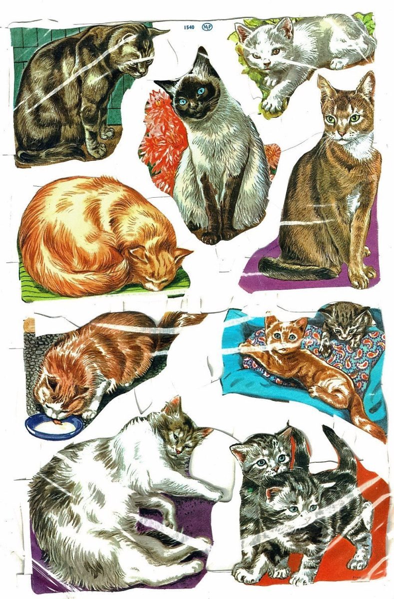 Scraps Unopened Packet Mamelok Press MLP Dog/1549 Cat/1540 1950's Vintage Gift - Image 2