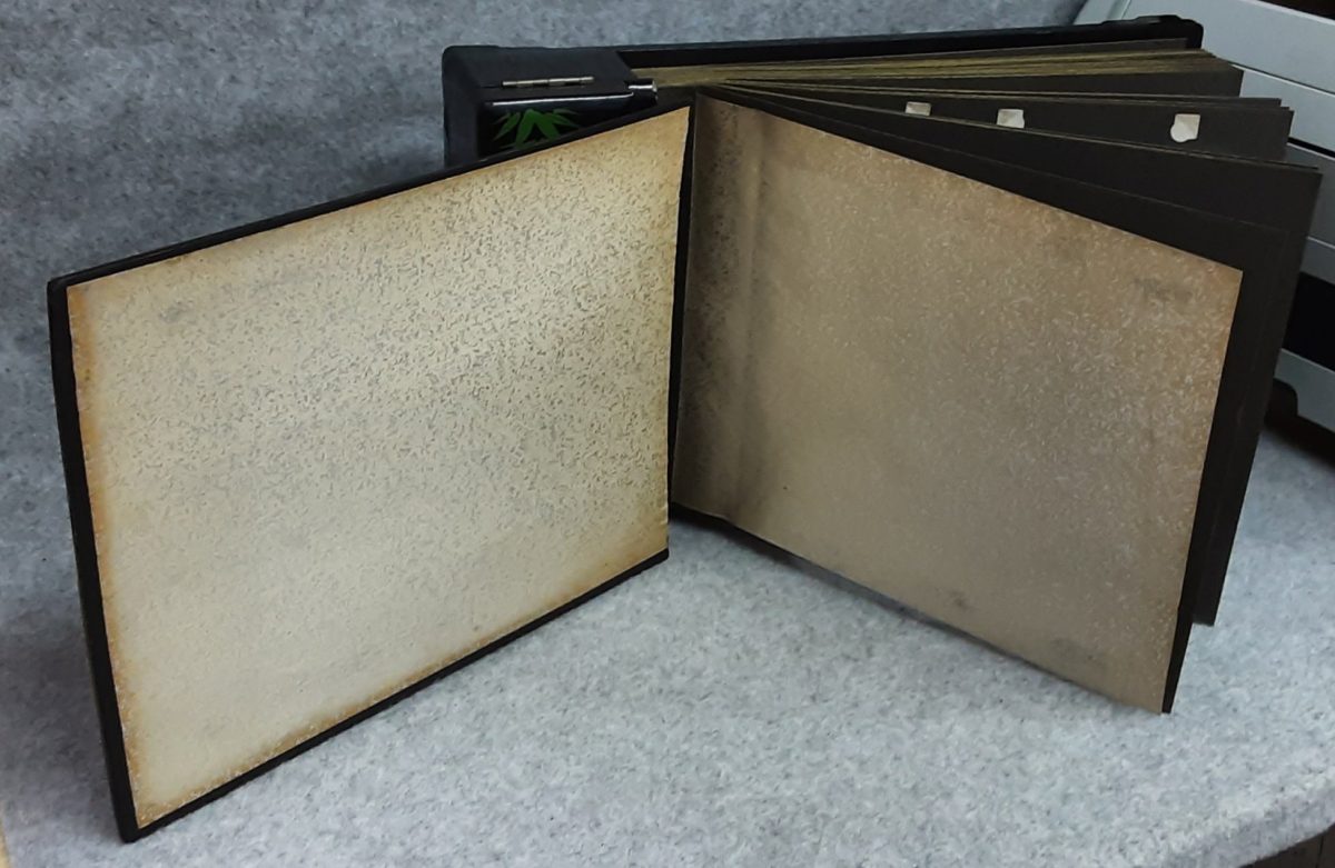 Photograph Album Music Box Black Lacquer MOP Tokyo Seiki Japan Vintage - Image 4
