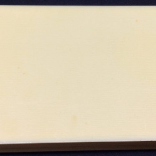 Celluloid Vanity Box Plain Ivoreen Manicure Tool Accessories Antique - Image 3