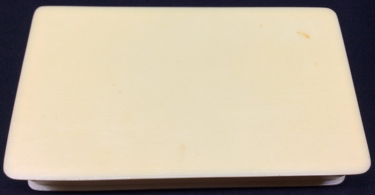 Celluloid Vanity Box Plain Ivoreen Manicure Tool Accessories Antique - Image 3